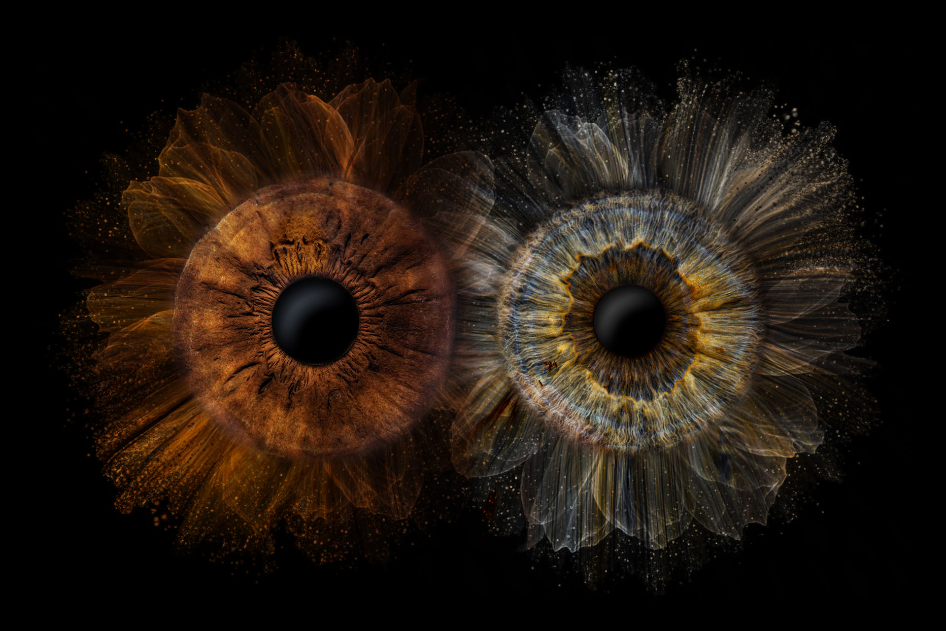 Iris-Fotografie - Swetlana und Eugen